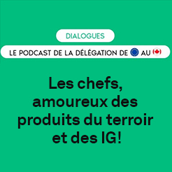 delegation union-europeenne